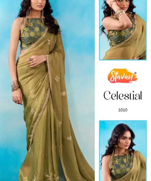 Stavan Celestial Fancy Embroidery Saree Collection