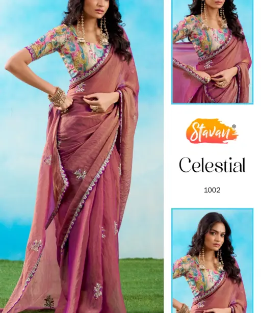 Stavan Celestial Fancy Embroidery Saree Collection