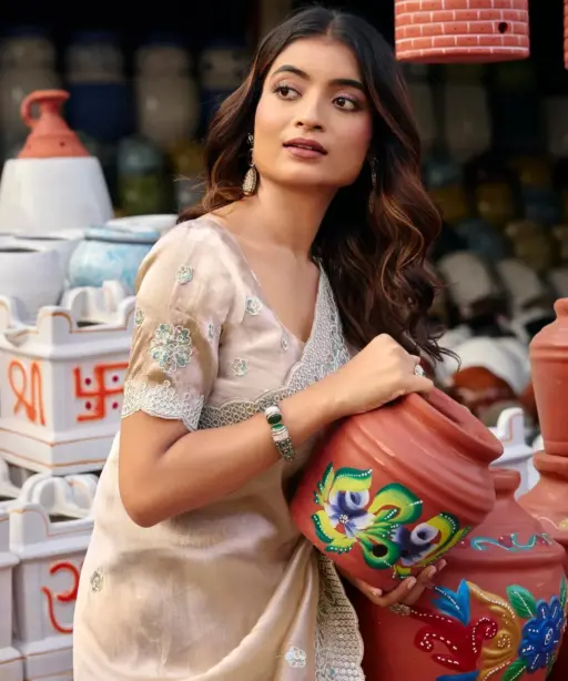 Lt Jimmy Vol 6 Cloud with Fancy Embroidery Work Saree Collection