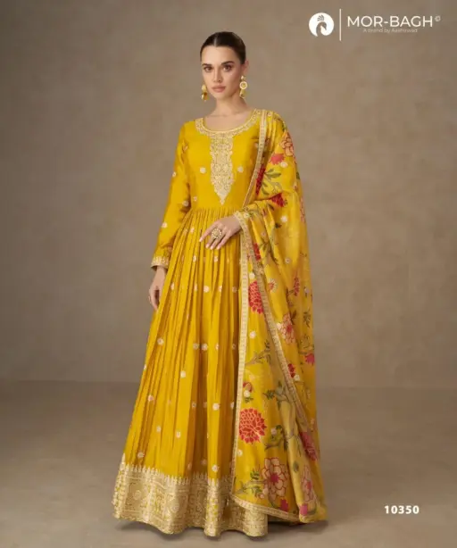 Aashirwad Anmol-10350