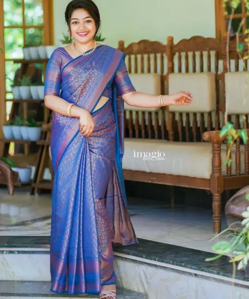 Sd Banarasi Silk Vol 2 Wedding Wear Fancy Saree Collection