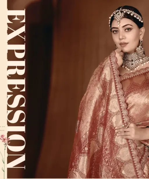 Zarkaashi Rajnandani Banarasi Tissue Embroidery Saree Collection